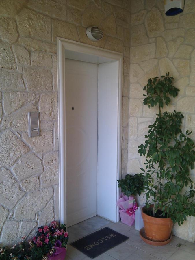 Para Thin Alos بوليخرونو المظهر الخارجي الصورة