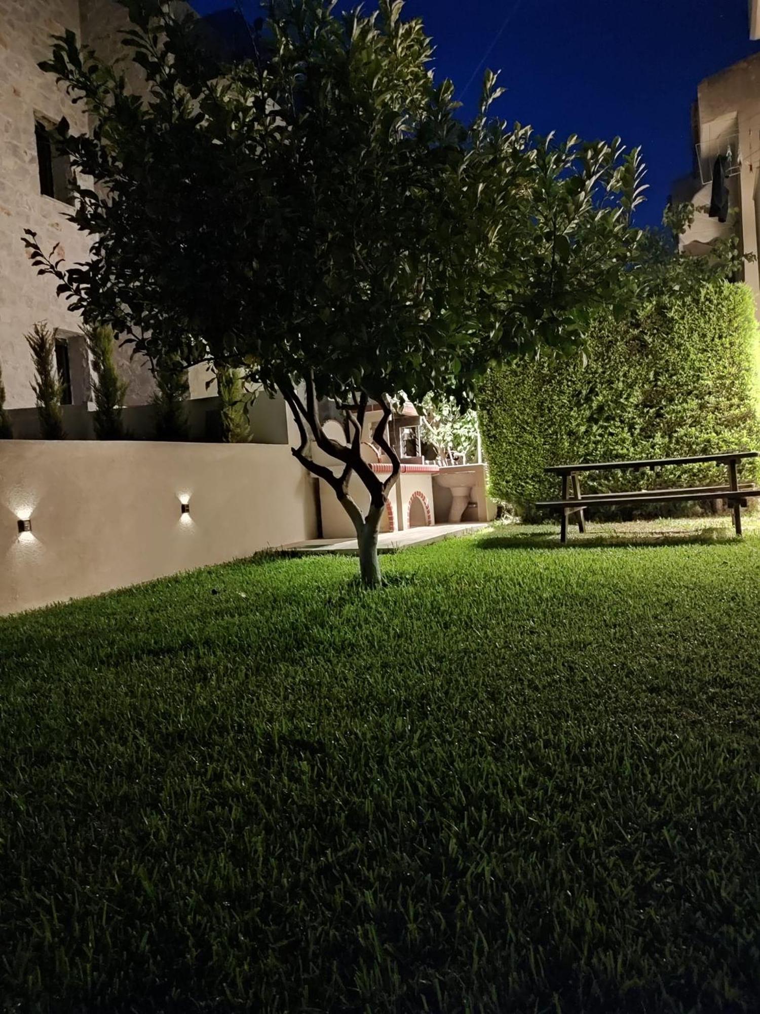 Para Thin Alos بوليخرونو المظهر الخارجي الصورة